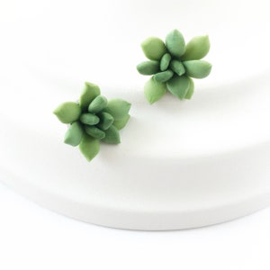 Green Succulent earrings stud succulent jewelry plant jewelry plant earrings stud botanical jewerly green flower earrings succulent wedding