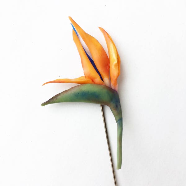 Tropische Blume Stift Anstecknadel Strelitzia Blume Anstecknadel Vogel des Paradieses orange Blume Knopfloch Bräutigam Anstecknadel