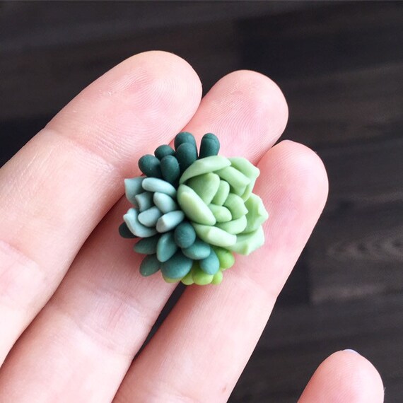 Green Succulent Ring Succulent Jewelry Plant Jewelry Green Etsy Singapore
