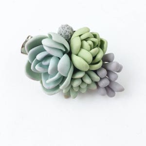 Succulent hair clip Succulent brooch succulent lapel pin Succulent wedding succulent plant jewerly mint succulent hair piece blush and mint