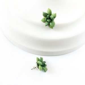 Verde Pendientes suculentos stud joyería suculenta planta joyería pendientes planta aretes stud botánico joyería verde pendientes flor suculenta boda imagen 2