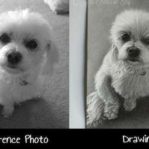 Custom Realistic Portrait Drawing Gift Drawing Portrait Drawing Portrait Pet Drawing Portrait from Photo Portrait Drawing Graphite Portrait