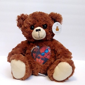 teddy bear with custom voice