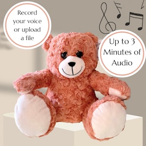 Orsacchiotto rosa registrabile, peluche con messaggio vocale personalizzato, orsetto con battito cardiaco per baby shower, registrazione di 3 minuti, regalo per la partenza