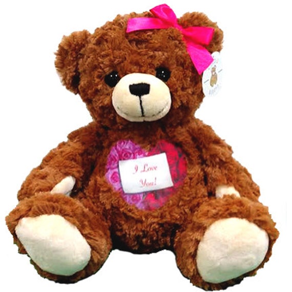 Custom Valentine's Teddy Bear Voice Bear Recordable | Etsy