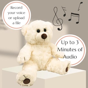 Osito de peluche blanco grabable, regalo reconfortante de peluche personalizado