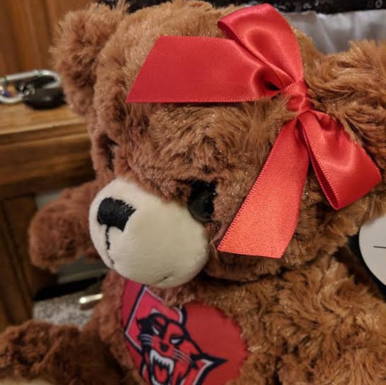 with Bow custom teddy bear bereavement bear photo teddy bear personalized plushy CuddleBuddy JR