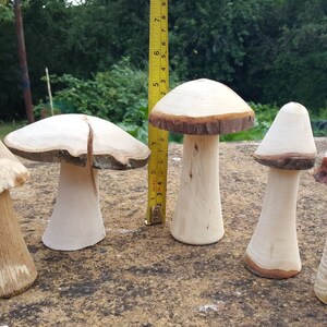 Selection of 5 Handmade Wooden Mushrooms and Toadstools from The Forest of Dean. image 8