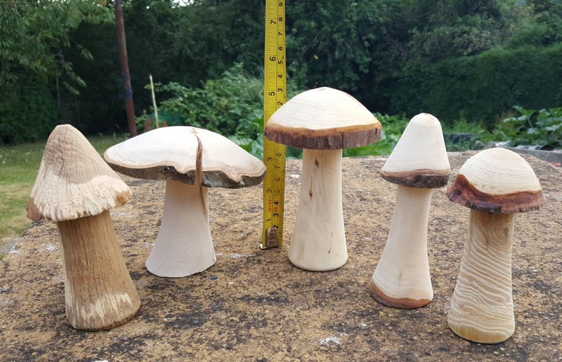 Selection of 5 Handmade Wooden Mushrooms and Toadstools from The Forest of Dean. image 8