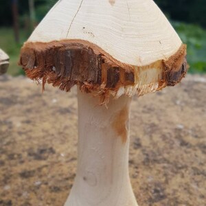 Selection of 5 Handmade Wooden Mushrooms and Toadstools from The Forest of Dean. image 5