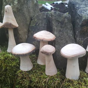 Selection of 5 Handmade Wooden Mushrooms and Toadstools from The Forest of Dean. image 2