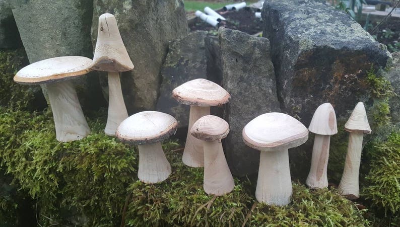 Selection of 5 Handmade Wooden Mushrooms and Toadstools from The Forest of Dean. image 2