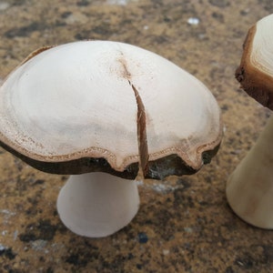 Selection of 5 Handmade Wooden Mushrooms and Toadstools from The Forest of Dean. image 6