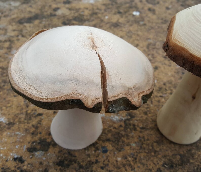 Selection of 5 Handmade Wooden Mushrooms and Toadstools from The Forest of Dean. image 6