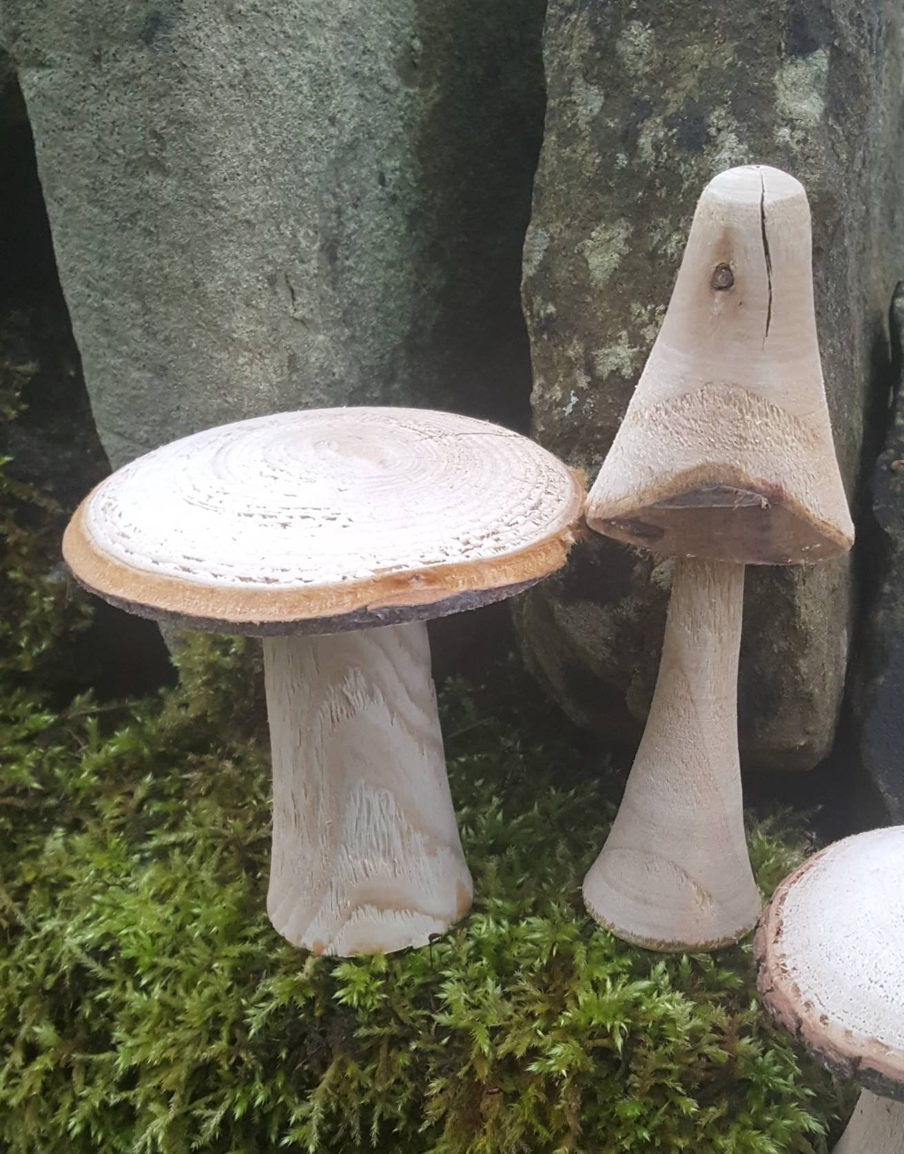 Sélection de 5 champignons en bois faits à la main et | Etsy
