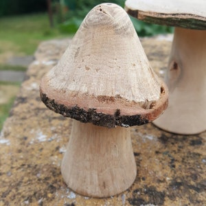 Selection of 5 Handmade Wooden Mushrooms and Toadstools from The Forest of Dean. image 7