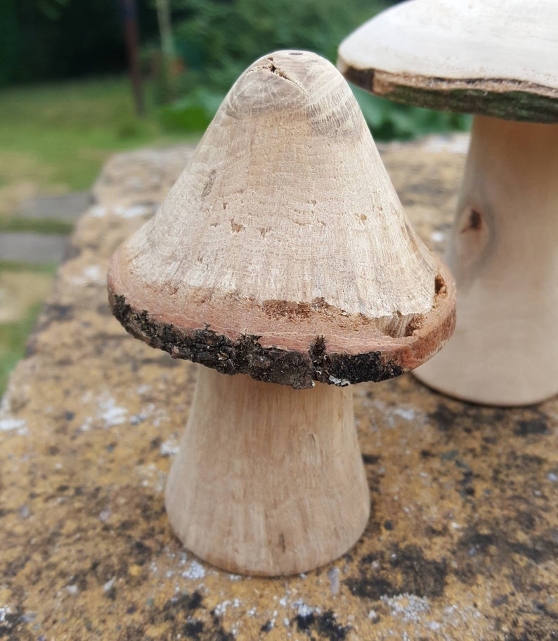 Selection of 5 Handmade Wooden Mushrooms and Toadstools from The Forest of Dean. image 7