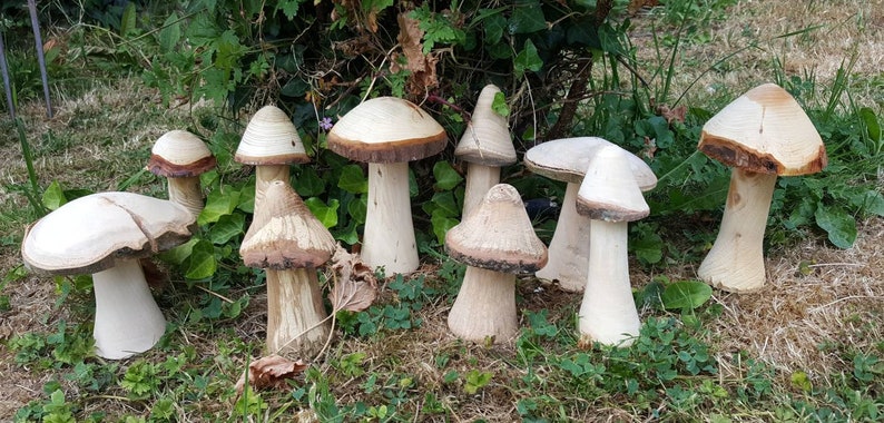 Selection of 5 Handmade Wooden Mushrooms and Toadstools from The Forest of Dean. image 1