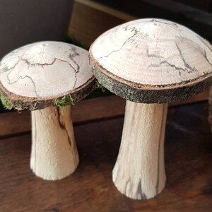 Selection of 5 Handmade Wooden Mushrooms and Toadstools from The Forest of Dean. image 9