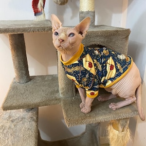 May include: A hairless cat wearing a blue and yellow shirt with a magical theme. The shirt has a pattern of feathers, stars, and a quill pen. The cat is sitting on a beige cat tree.