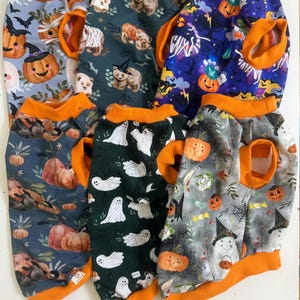 Peut inclure: Plusieurs chemises pour chiens avec bordure orange et motifs d'Halloween. Les motifs incluent des citrouilles, des fantômes, des chauves-souris et des ours avec des chapeaux de sorcière. Les chemises sont en tissu doux.