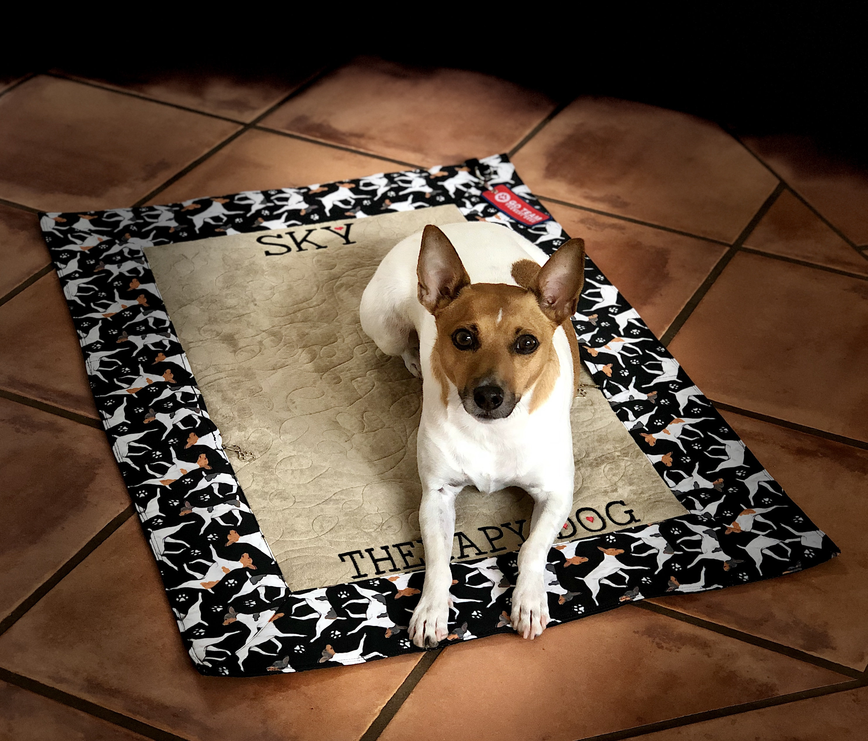 Service Dog Place Training Mat Settle Mat Quilted Training Place