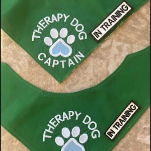 IN TRAINING Patch