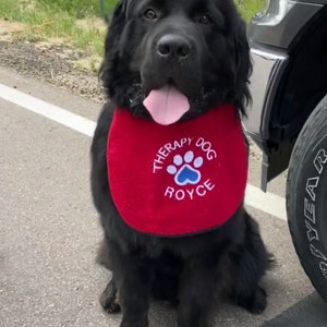 Big Dog Bib