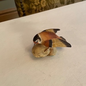 ロイヤルウースター ゴールドフィンチ 鳥 フィギュリン 置物 英国製 Royal Worcester goldfinch Bone China bird English China bird