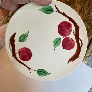 Retired Dinner Plate Winesap by Blue Ridge / Southern Pottery ~ LovelyDesign