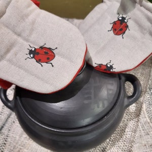 Linen kitchen gloves set with ladybugs,2 linen oven gloves for kitchen,2 linen pot holders ,lovely gift for baker,kitchen linen