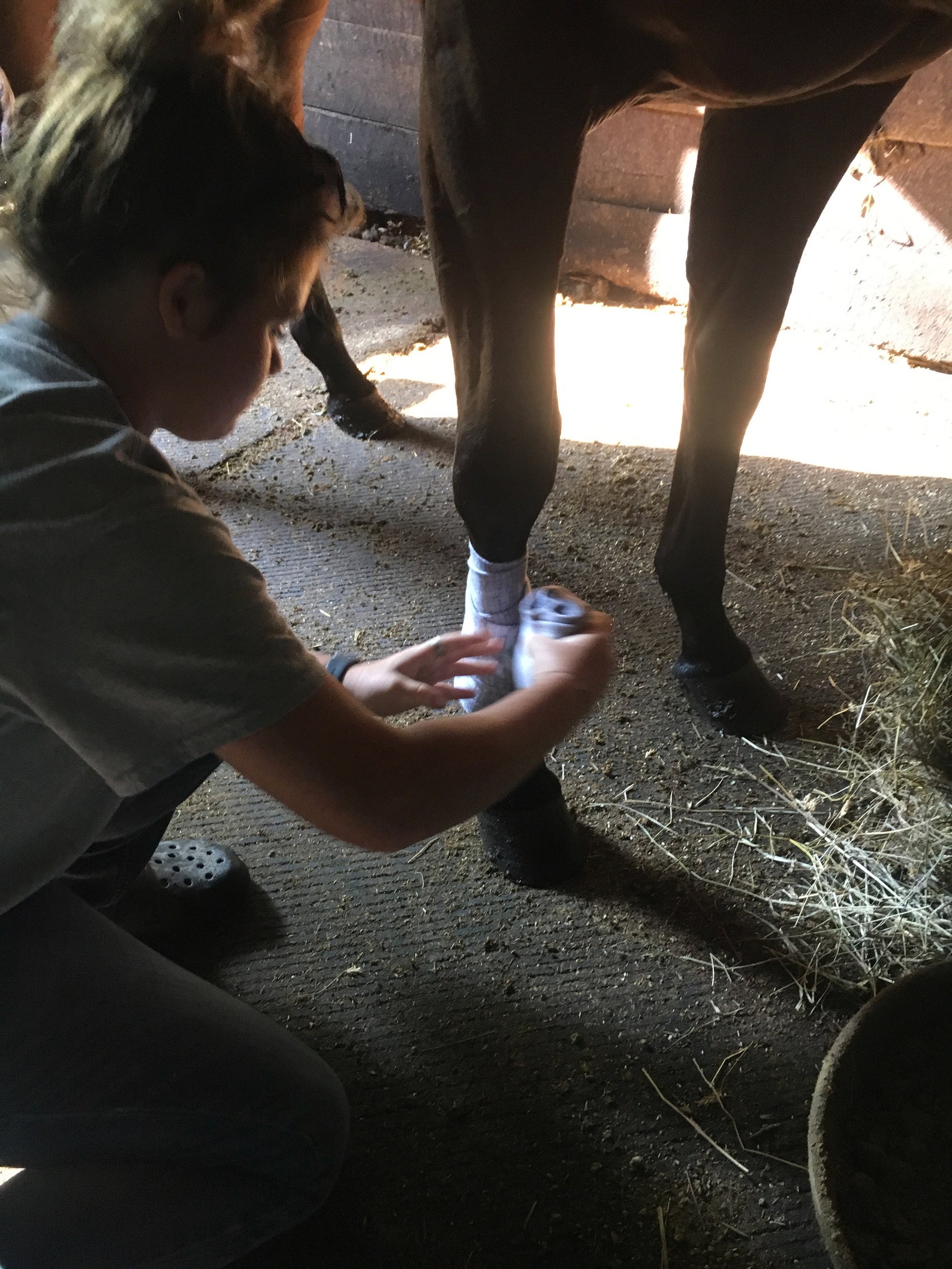 Polo/Leg Wraps for Horses Etsy