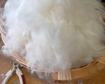 Fibra de conejo de angora. Color blanco. Fibra cruda de conejo de angora. Lana pura, 50 g.