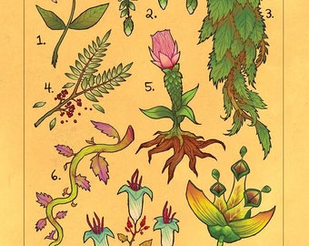 Flora of Thedas Prints