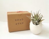 Air Plant and Hanging quot Egg quot Planter in XOXO Stamped Box