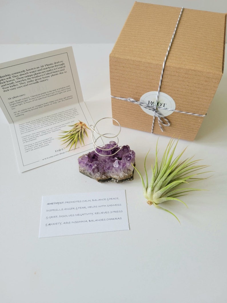 Amethyst Crystal Plant Holder with Air Plant, Hand Stamped Gift Box image 6