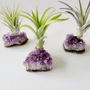 Amethyst Crystal Plant Holder with Air Plant, Hand Stamped Gift Box image 4