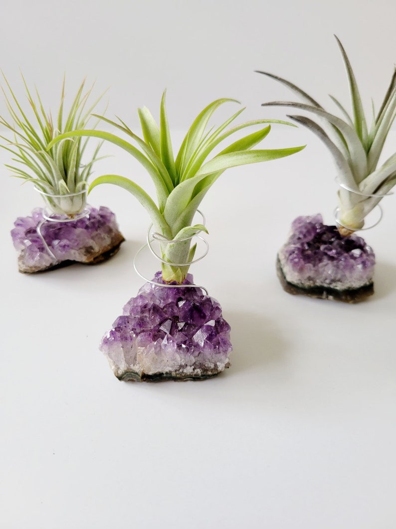 Amethyst Crystal Plant Holder with Air Plant, Hand Stamped Gift Box image 4