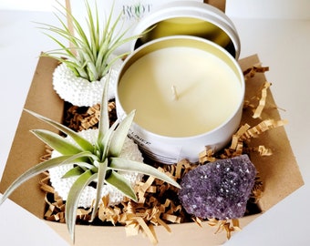 Plantas aéreas con portaconchas de erizo pintadas a mano en blanco, vela de soja vertida a mano y caja de regalo de cristal natural