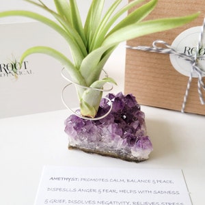 Amethyst Crystal Plant Holder with Air Plant, Hand Stamped Gift Box image 7