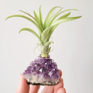Amethyst Crystal Plant Holder with Air Plant, Hand Stamped Gift Box image 3