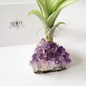 Amethyst Crystal Plant Holder with Air Plant, Hand Stamped Gift Box image 8