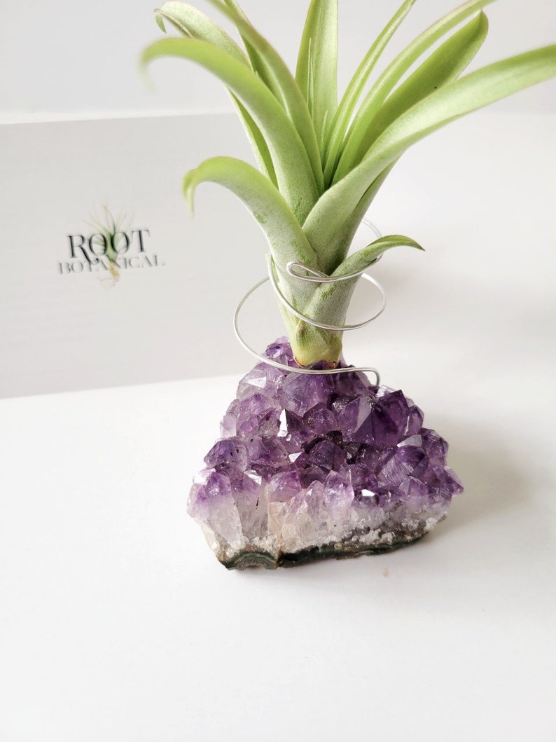 Amethyst Crystal Plant Holder with Air Plant, Hand Stamped Gift Box image 8