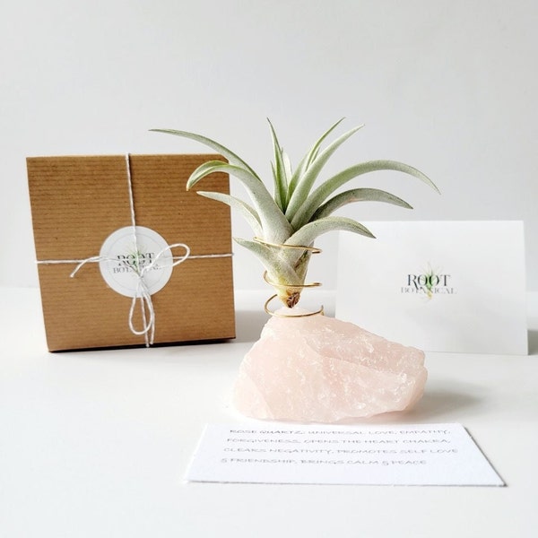 Rose Quartz Plant Holder with Air Plant, Stamped Gift Box