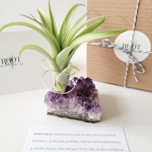 Amethyst Crystal Plant Holder with Air Plant, Hand Stamped Gift Box image 9