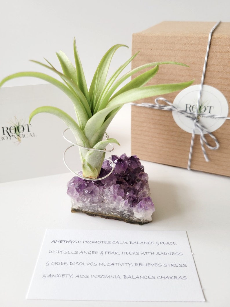 Amethyst Crystal Plant Holder with Air Plant, Hand Stamped Gift Box image 9