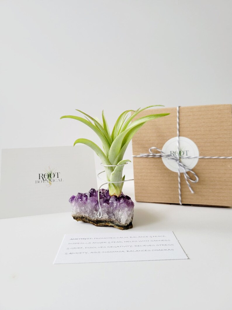 Amethyst Crystal Plant Holder with Air Plant, Hand Stamped Gift Box image 2