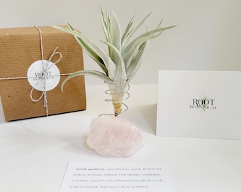 Cuarzo rosa con planta de aire, caja de regalo estampada