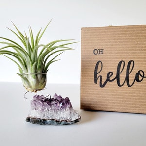 May include: An air plant in a metal holder sits above a purple amethyst crystal. A brown cardboard box with the words "OH hello" printed in black is to the right. The air plant has long green leaves.