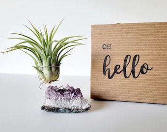 Amethyst Crystal Plant Holder with Air Plant, Hand Stamped Gift Box